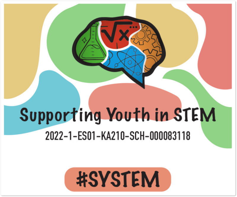 Supporting Youth In Stem